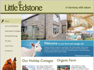 Website Visual